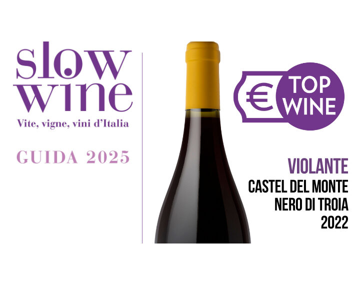 Violante: Topwine e Bestbuy