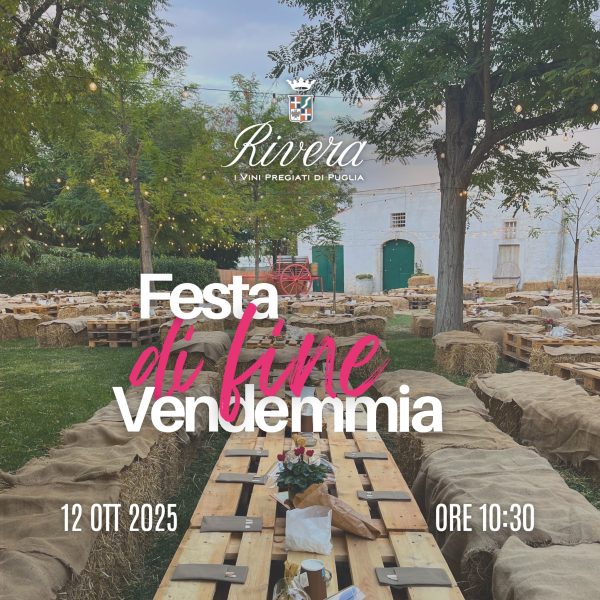 Festa in Vendemmia Rivera Vino Cantina Puglia