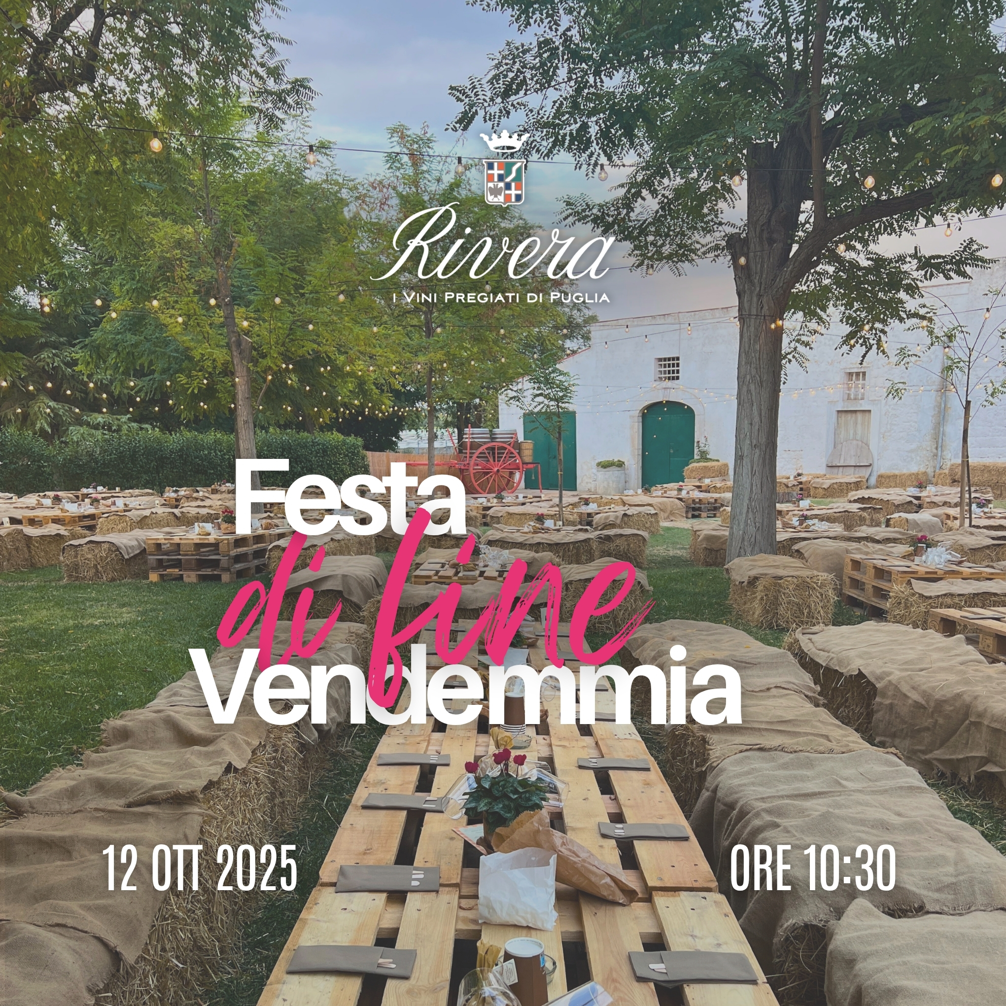 Festa in Vendemmia Rivera Vino Cantina Puglia